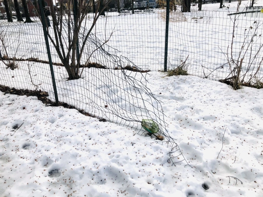 IMG_2912.jpg?type=w966