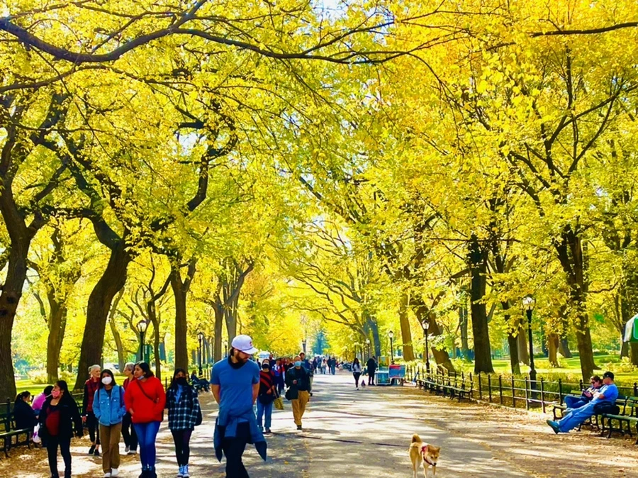 IMG_1584.jpg?type=w966