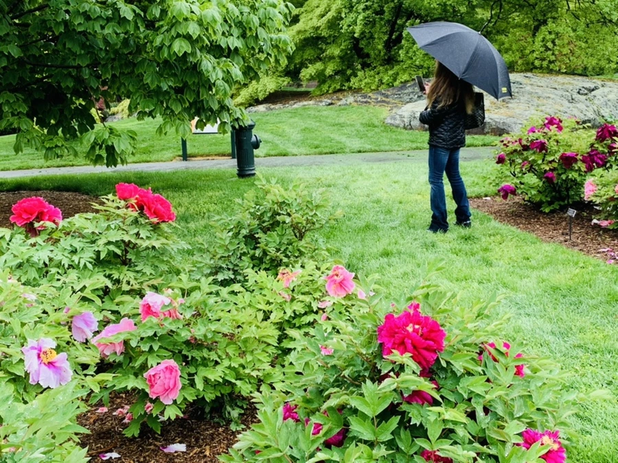 IMG_9973.jpg?type=w966