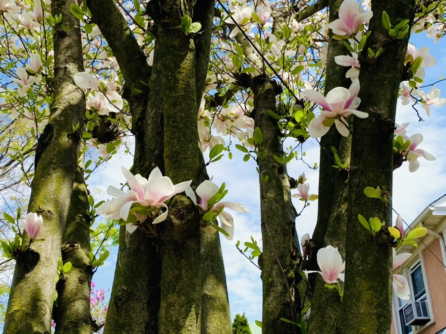 IMG_3888.jpg?type=w966