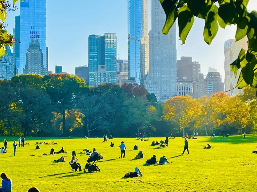 IMG_1387.jpg?type=w966