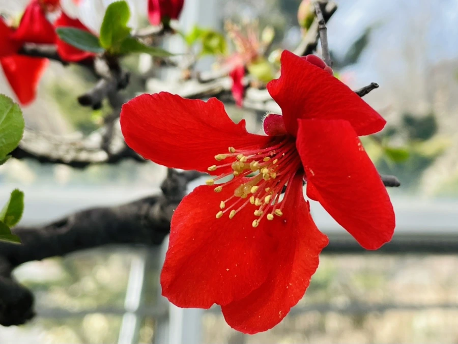 IMG_4185.jpg?type=w966