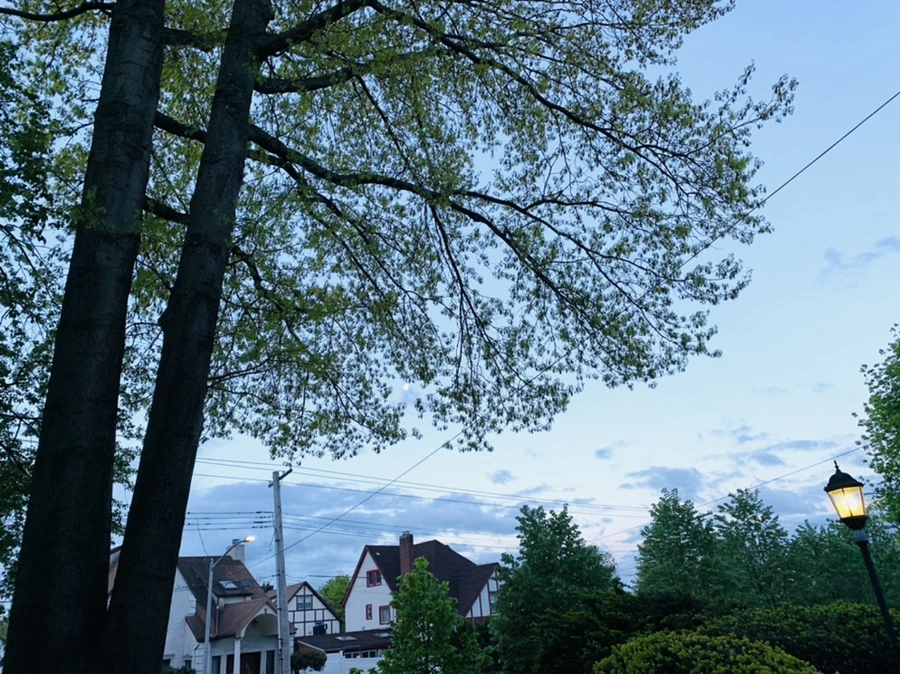 IMG_7498.jpg?type=w966