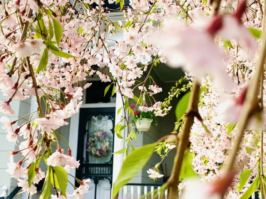 IMG_3693.jpg?type=w966