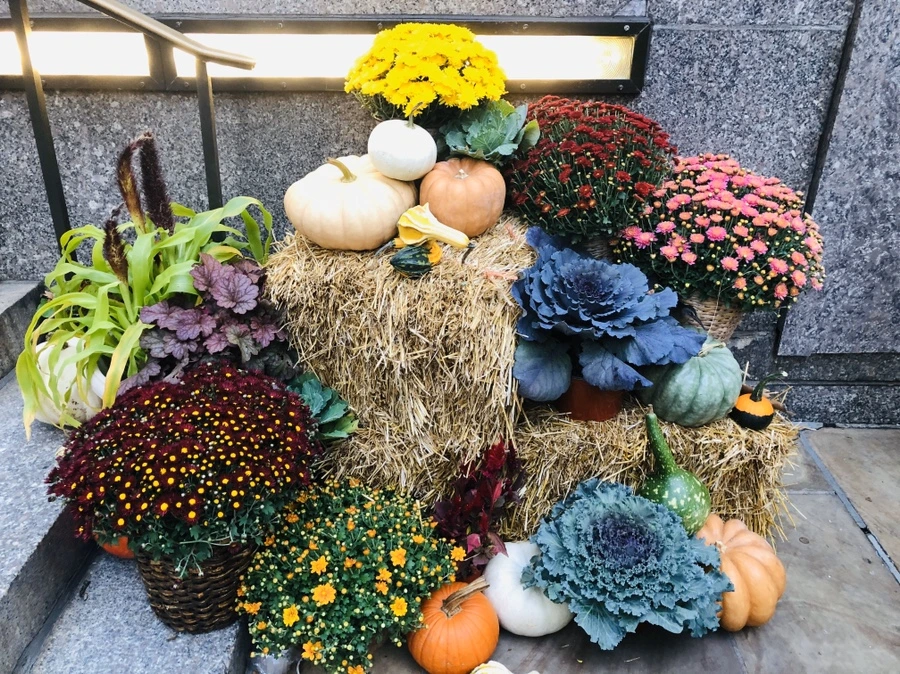 IMG_1092.jpg?type=w966