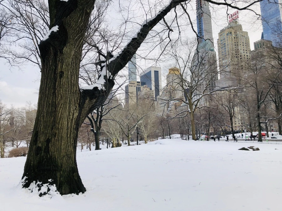 IMG_0394.jpg?type=w966