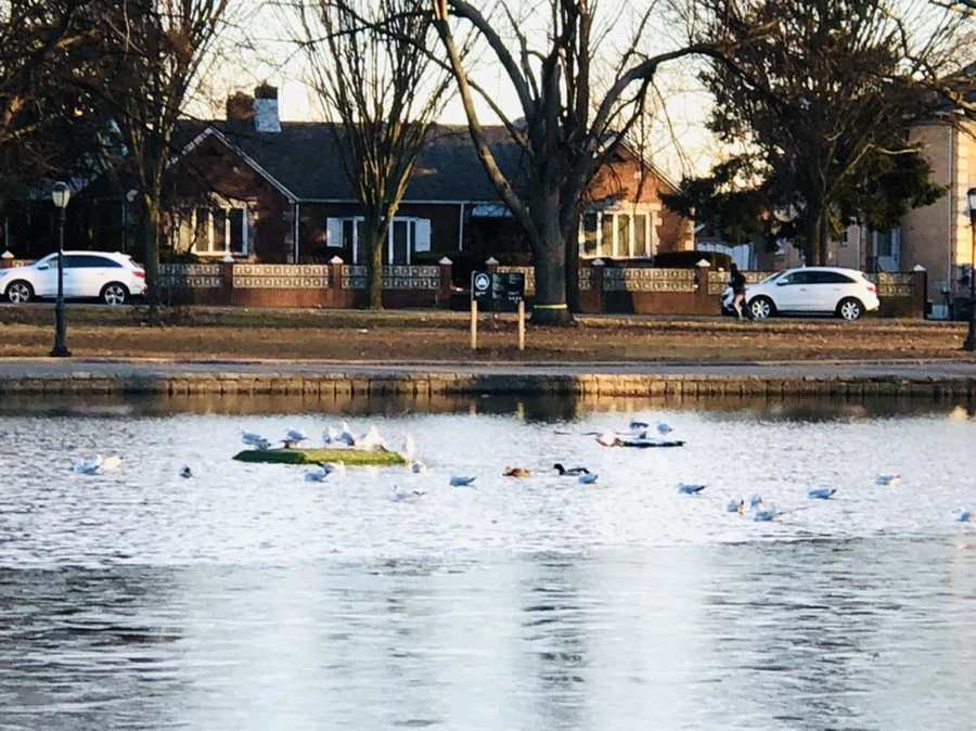 IMG_0820.jpg?type=w966