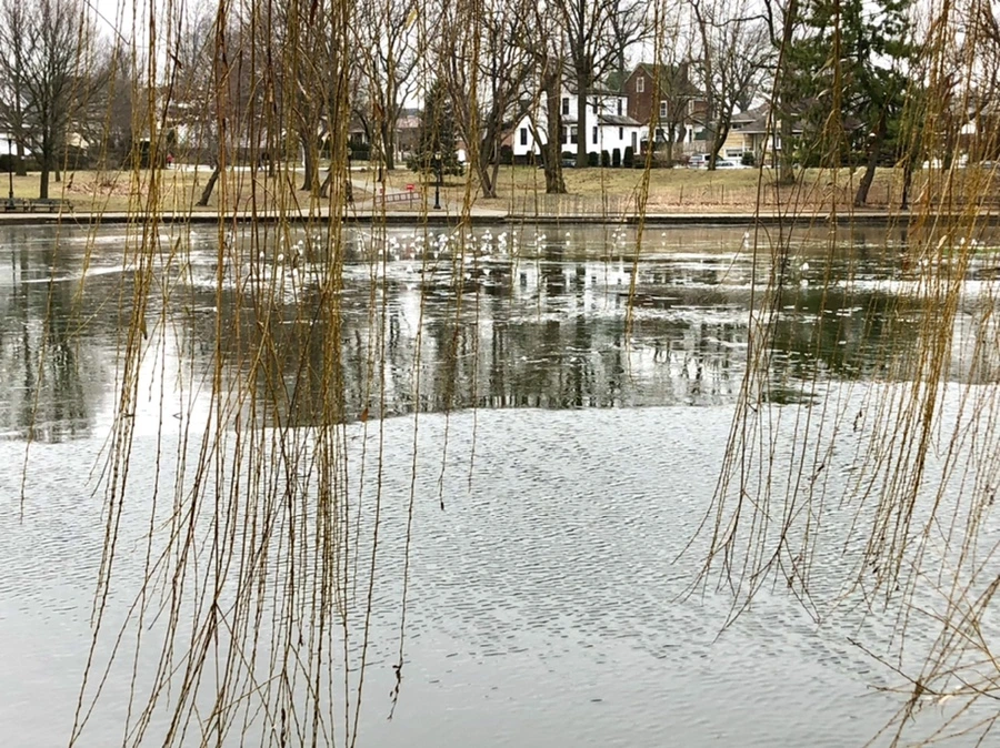 IMG_3207.jpg?type=w966