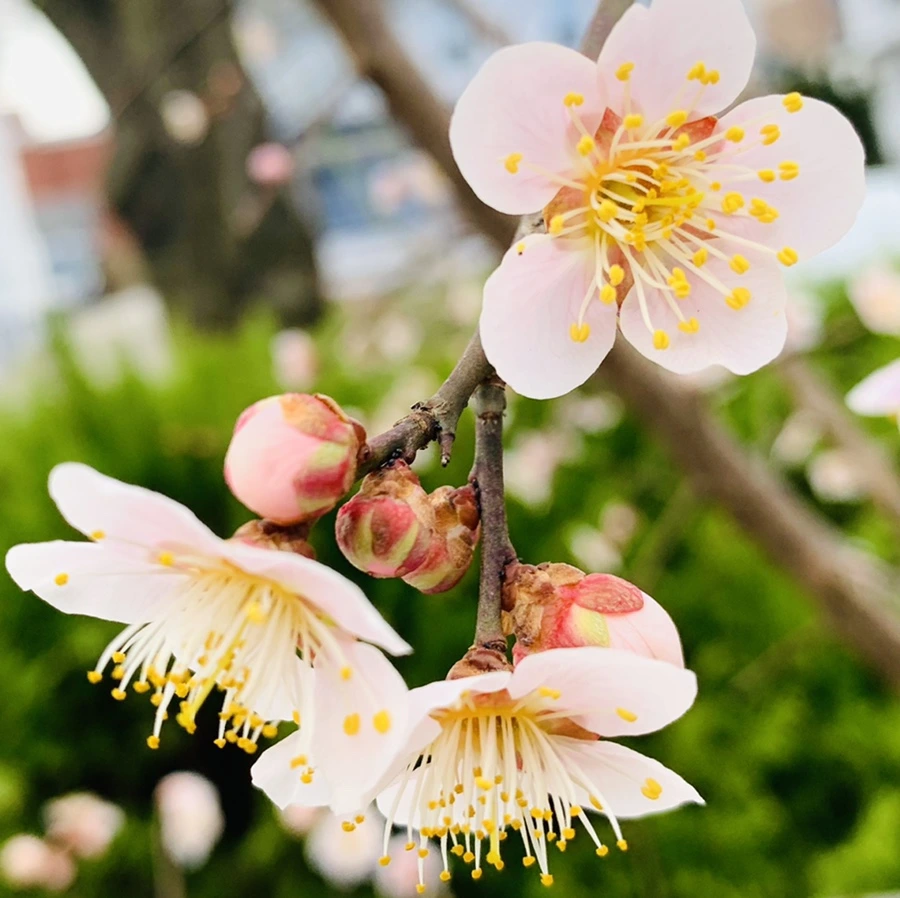 IMG_0512.jpg?type=w966