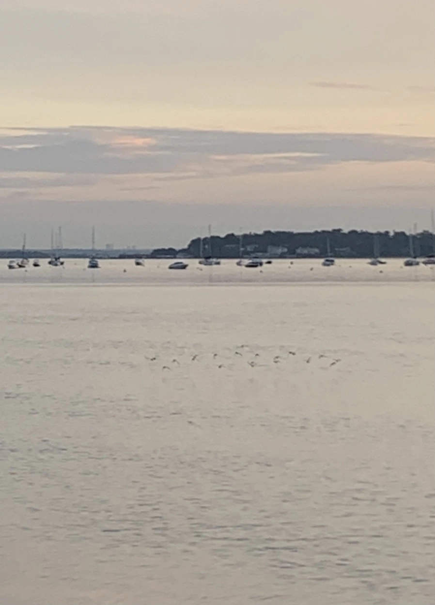 IMG_0963.jpg?type=w966