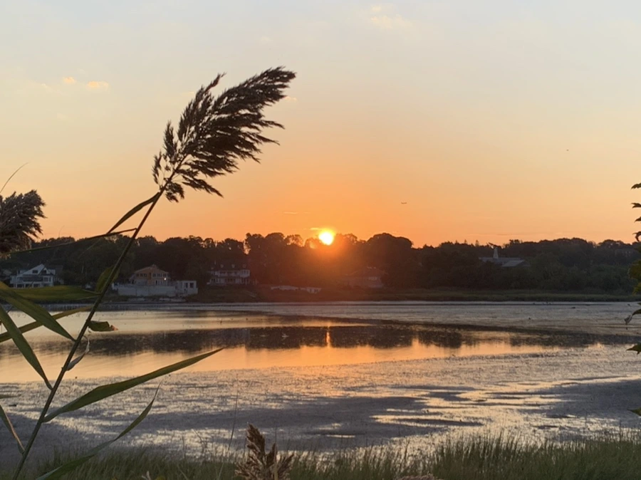 IMG_8876.jpg?type=w966