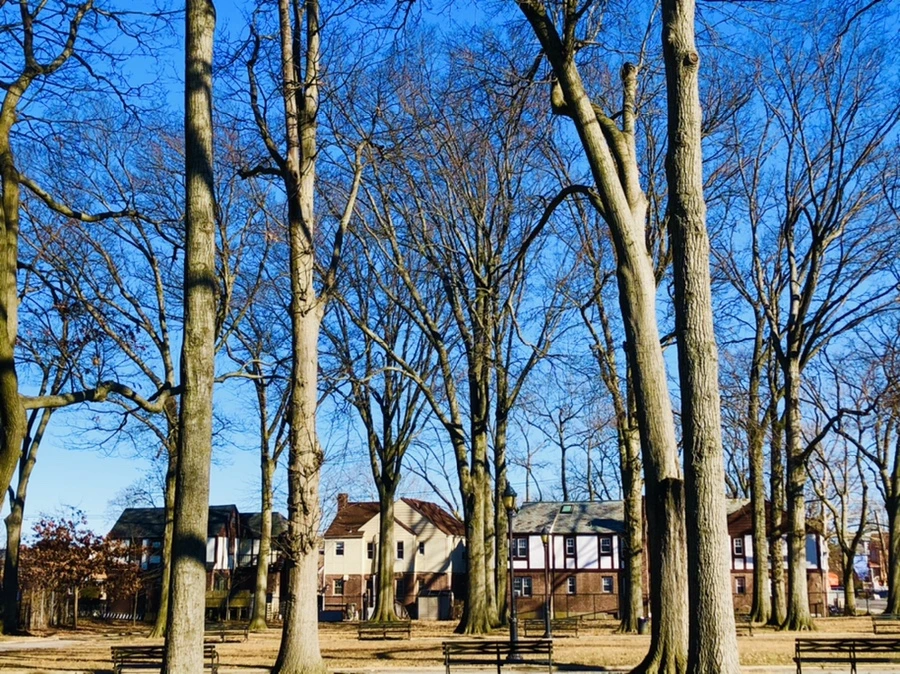 IMG_8151.jpg?type=w966