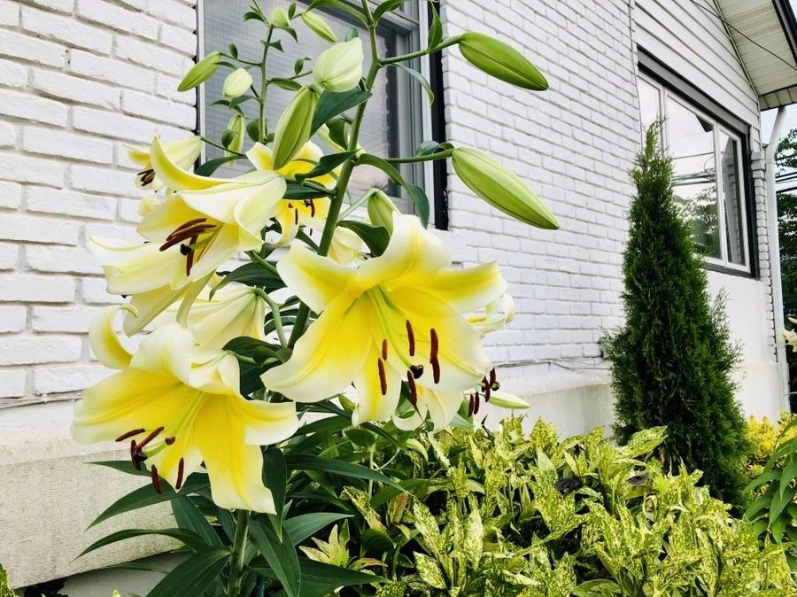 gU1ZZsUrKfEHRZl7C_WRz_S0_Mk