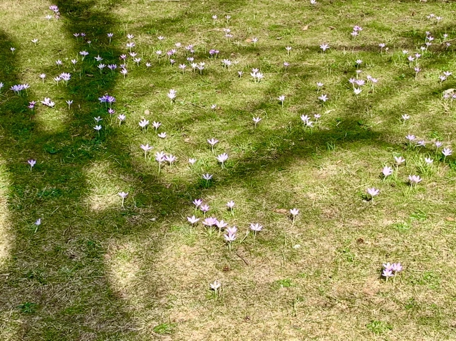 IMG_0185.jpg?type=w966