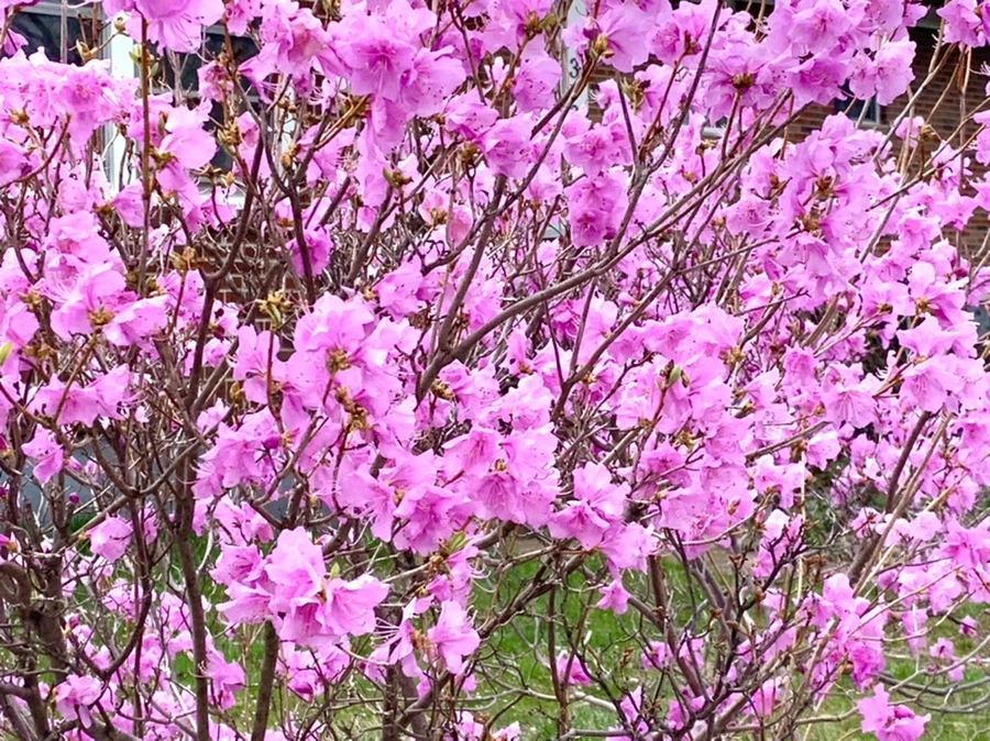 IMG_6774.jpg?type=w966