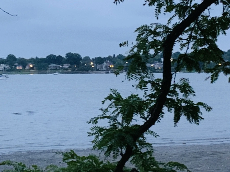 IMG_6700.jpg?type=w966