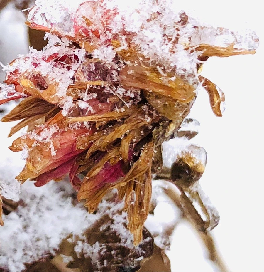 y-tUG6ZiXK7ryHgihbue6cG9IpY