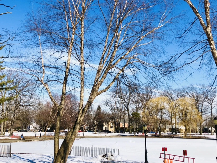 IMG_4485.jpg?type=w966