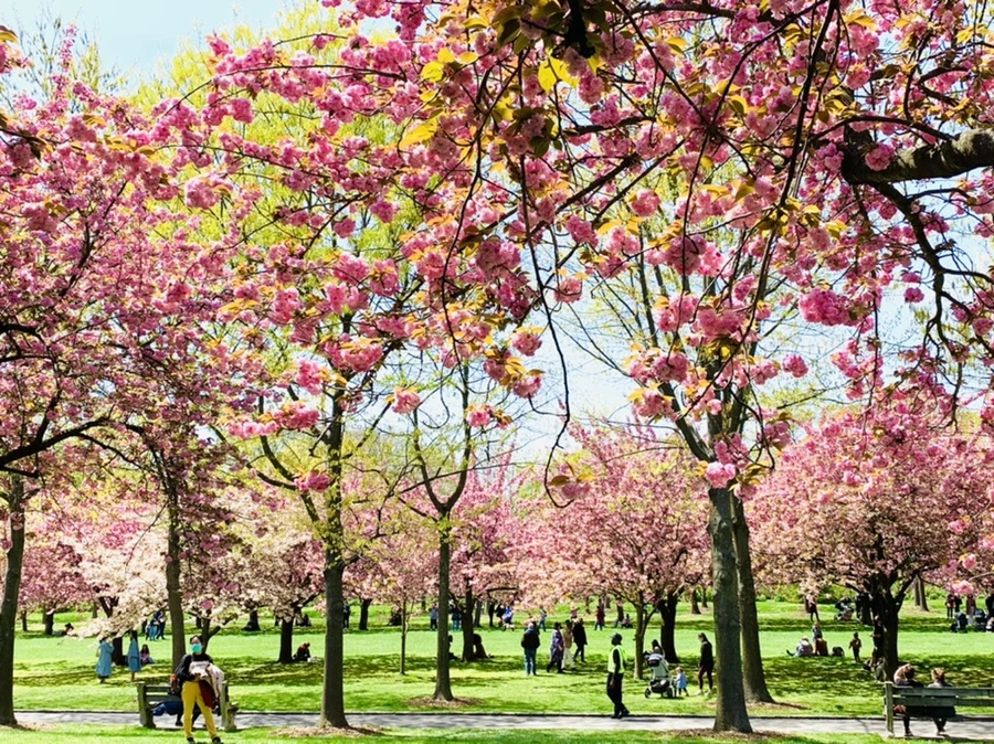 IMG_6418.jpg?type=w966