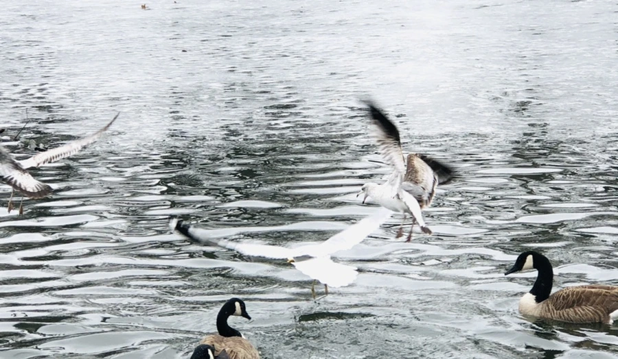 IMG_5837.jpg?type=w966