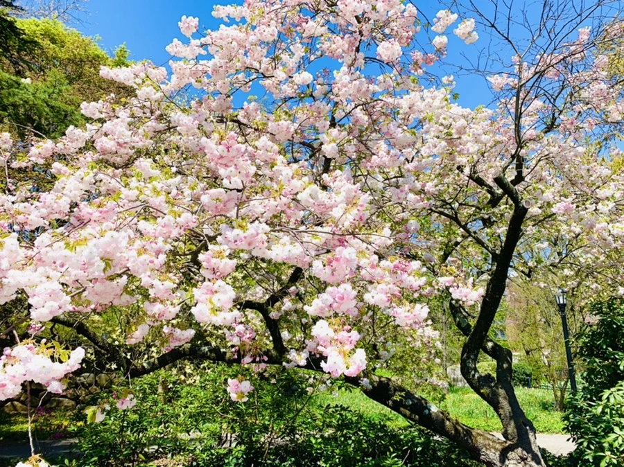 IMG_4820.jpg?type=w966