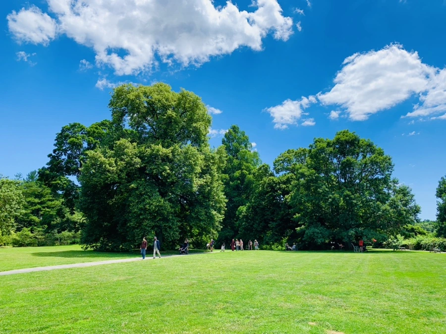 IMG_6787.jpg?type=w966