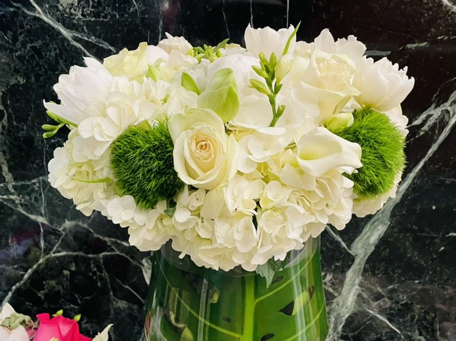 IMG_5440.jpg?type=w966