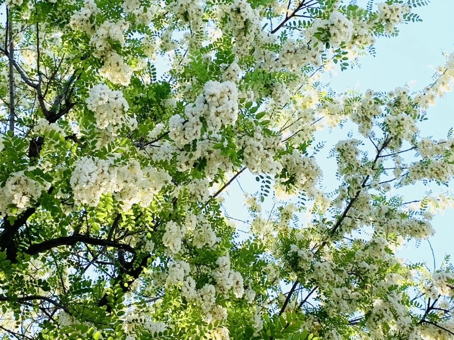 mJOH7gTf7tW_4DV1VOQcXxfRU2o