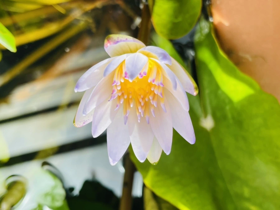 IMG_5197.jpg?type=w966