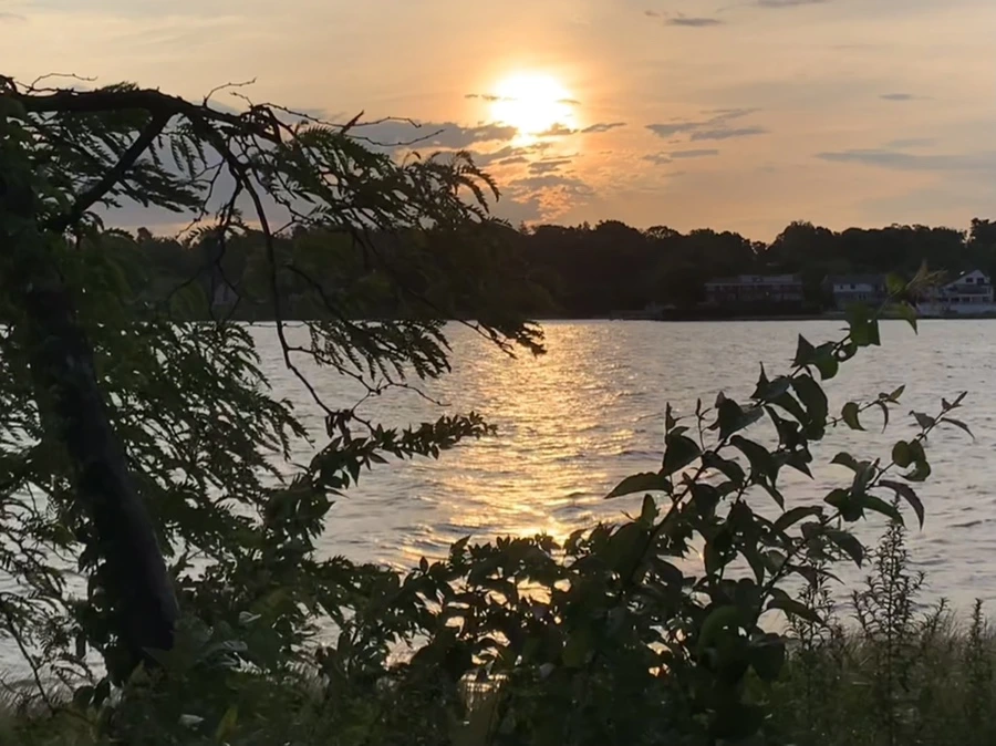 IMG_1799.jpg?type=w966