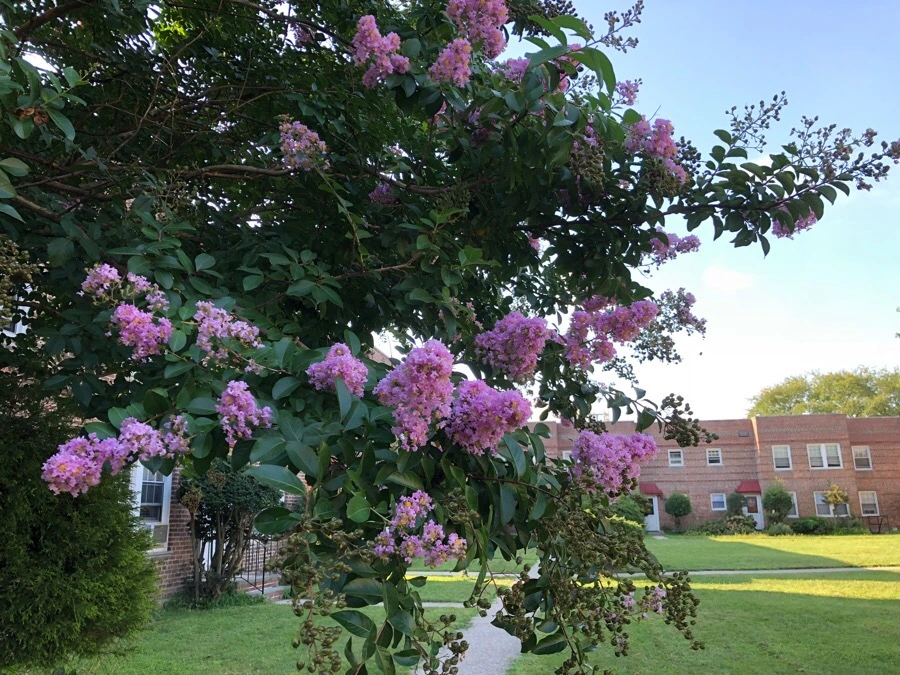 IMG_3798.jpg?type=w966