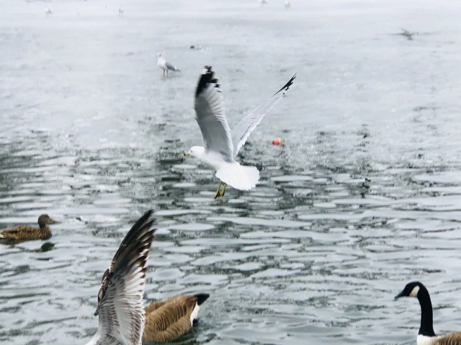 IMG_5861.jpg?type=w966