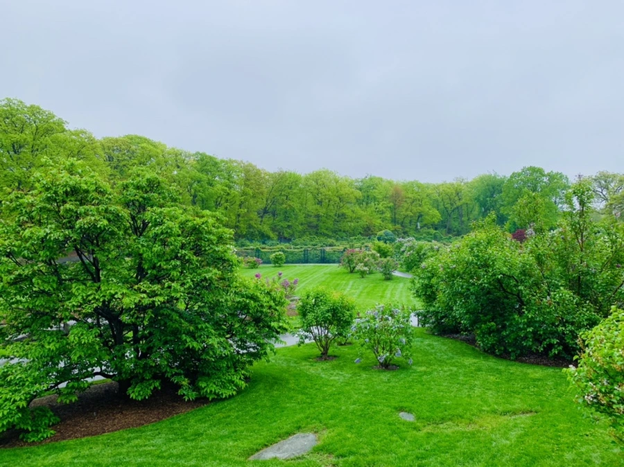 IMG_0064.jpg?type=w966