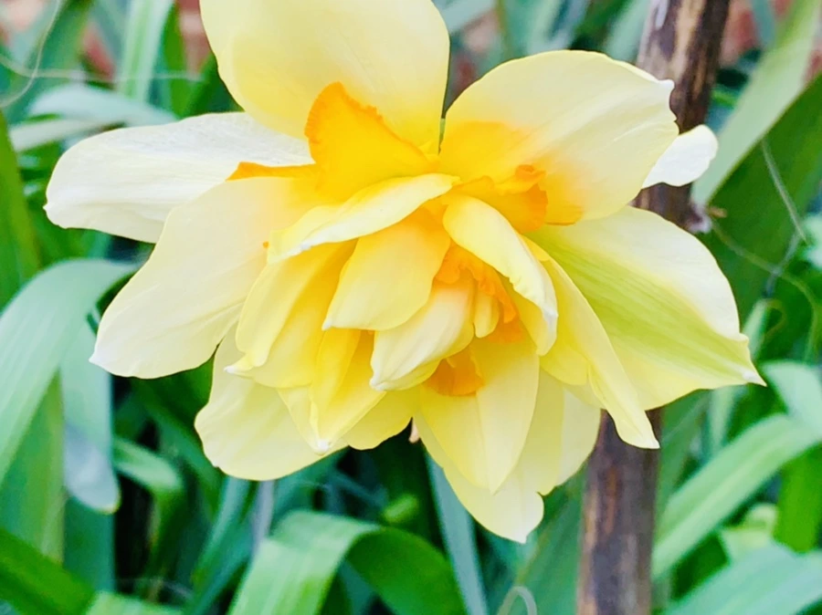 IMG_6817.jpg?type=w966