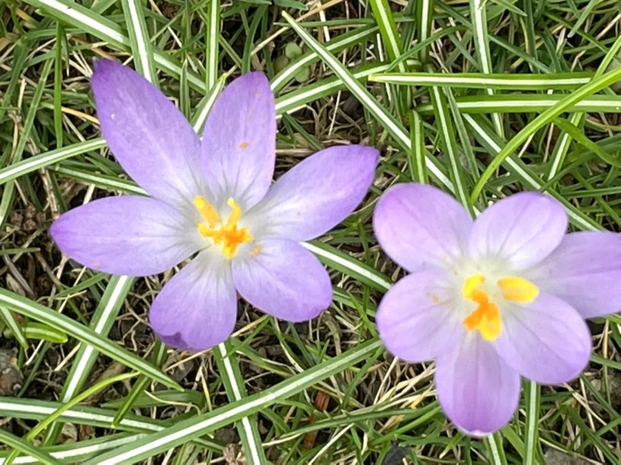 IMG_4076.jpg?type=w966