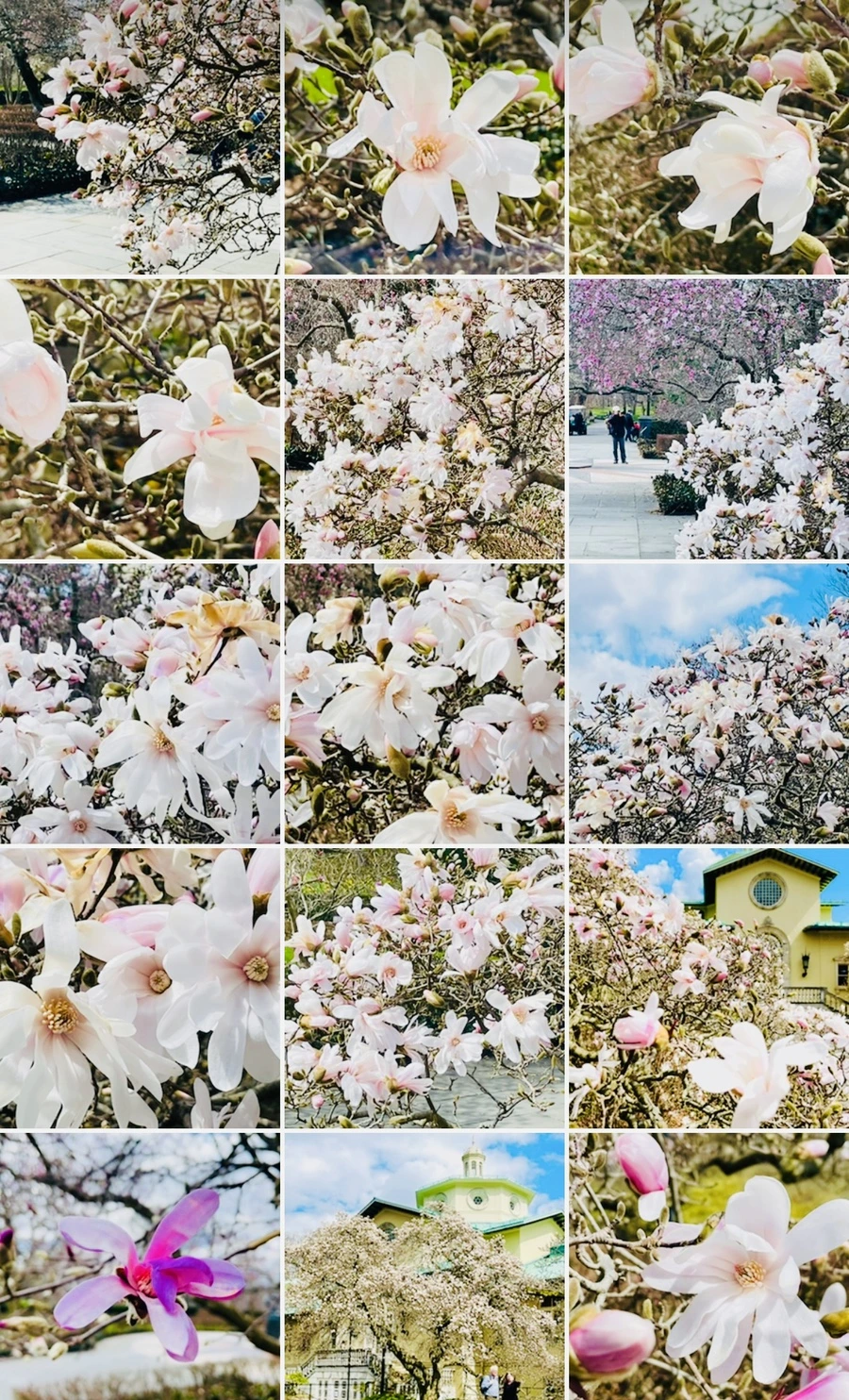 IMG_7300.jpg?type=w966