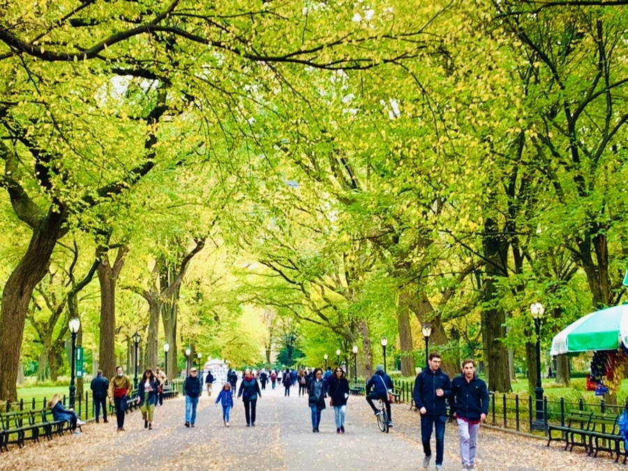 IMG_0217.jpg?type=w966