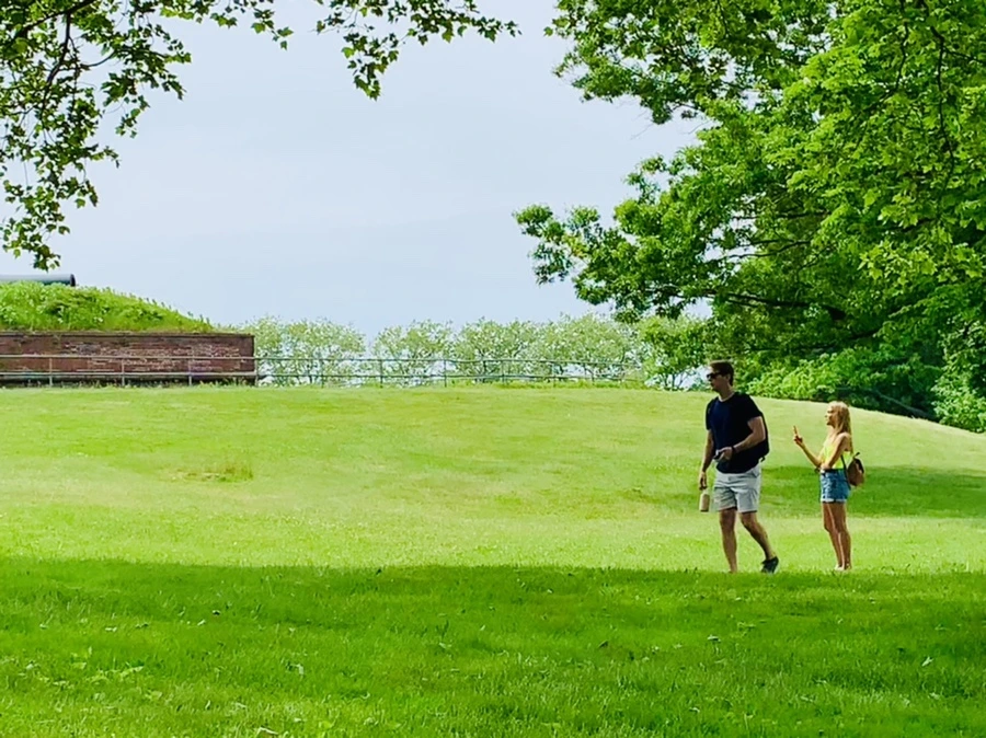 IMG_5179.jpg?type=w966