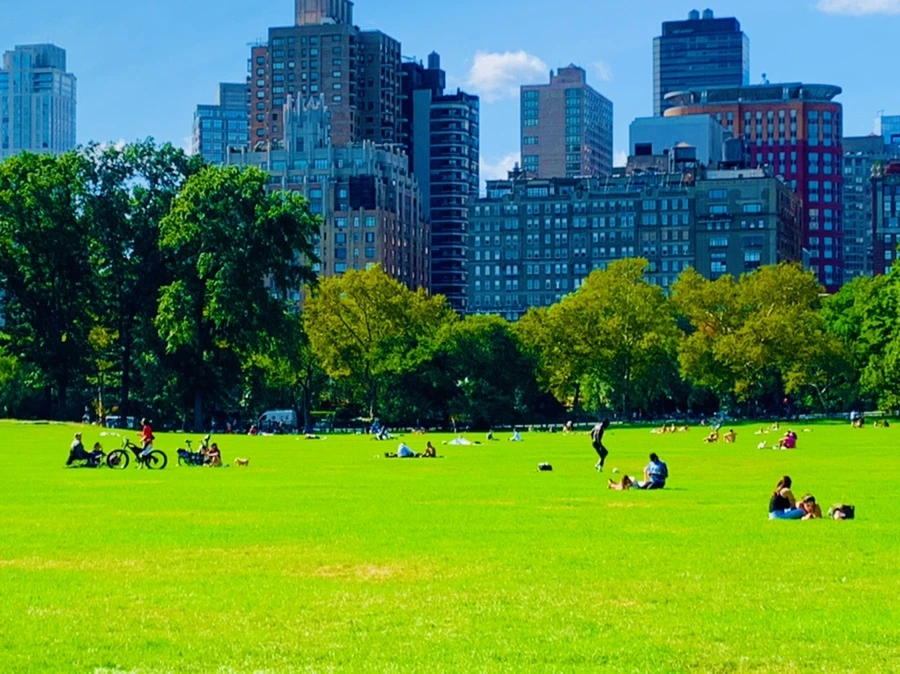 IMG_9680.jpg?type=w966