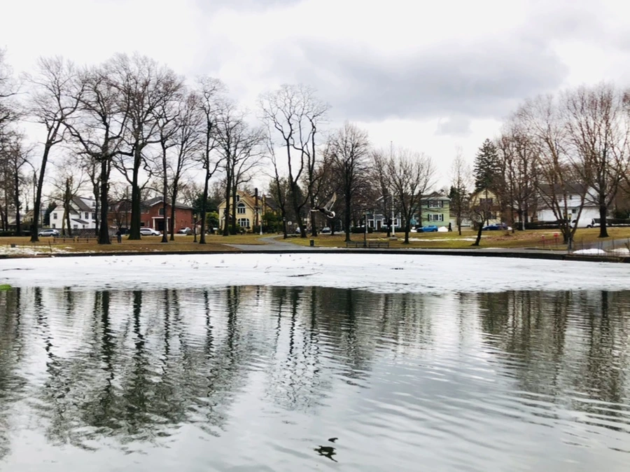 IMG_6447.jpg?type=w966