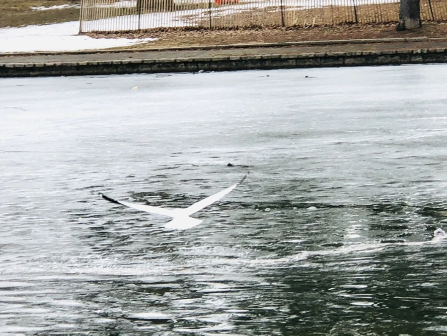 IMG_5897.jpg?type=w966