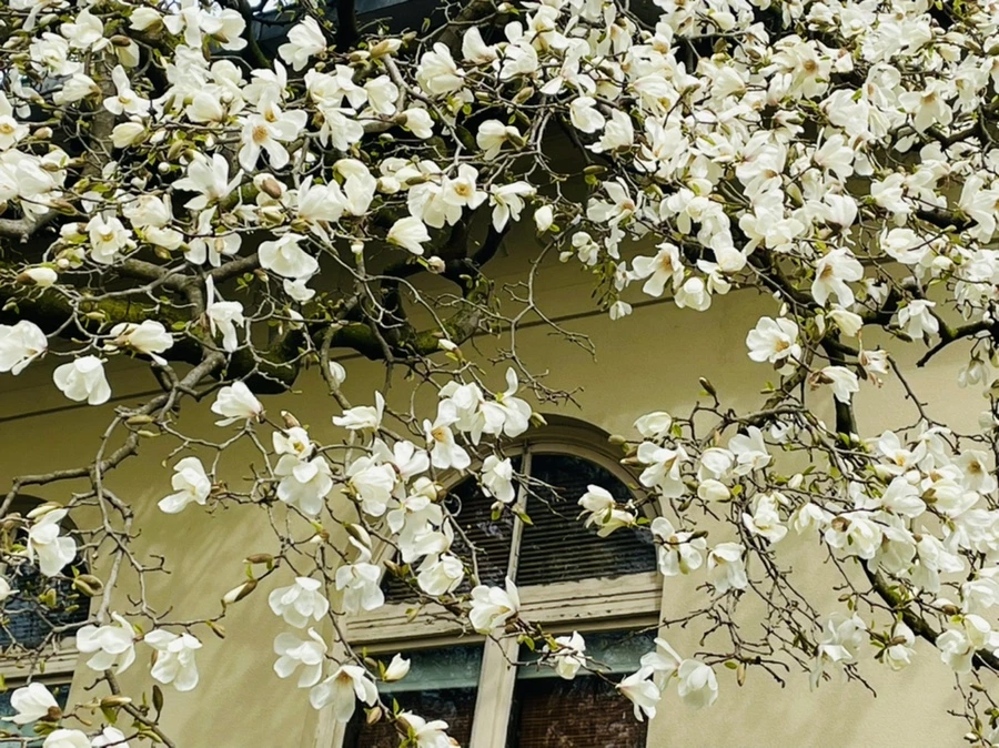 IMG_7473.jpg?type=w966