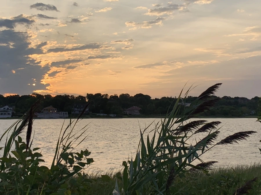 IMG_1742.jpg?type=w966