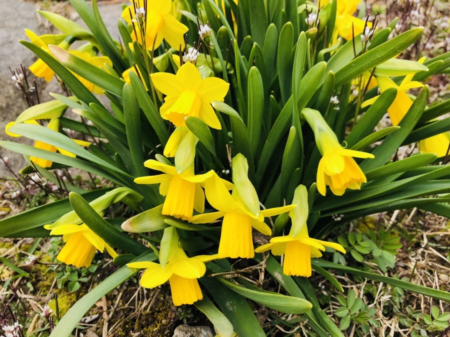 IMG_1880.jpg?type=w966