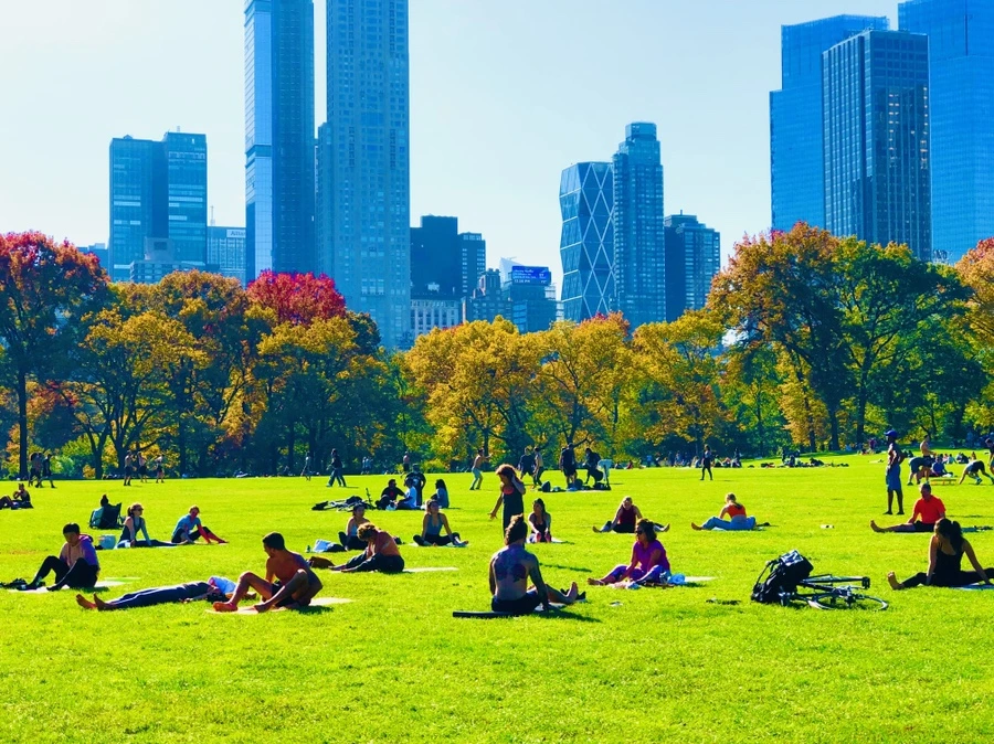 IMG_3819.jpg?type=w966