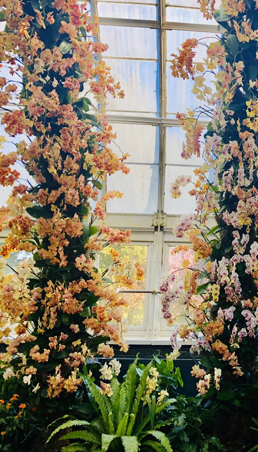 IMG_6270.jpg?type=w966