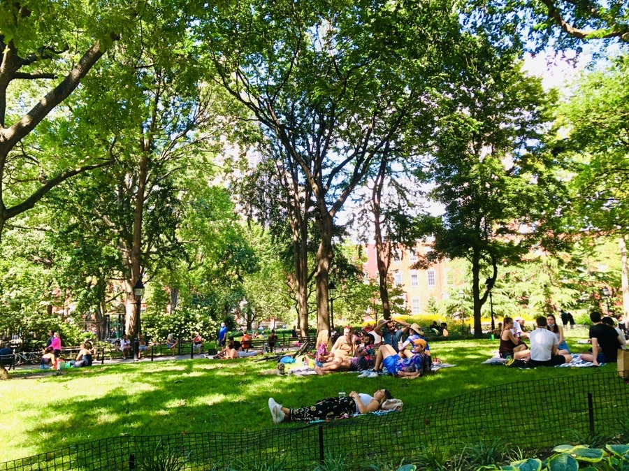 IMG_5436.jpg?type=w966