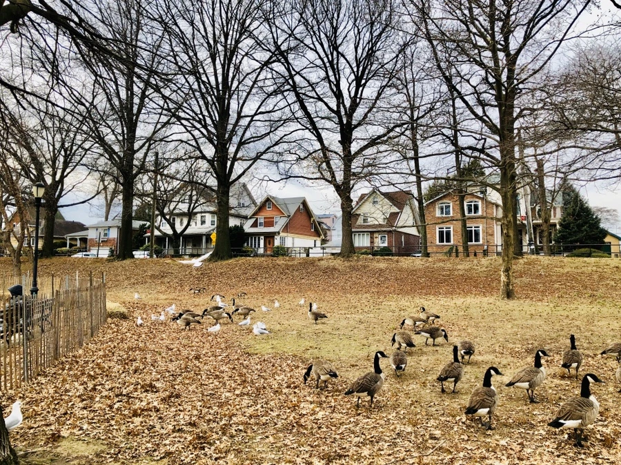 IMG_3269.jpg?type=w966