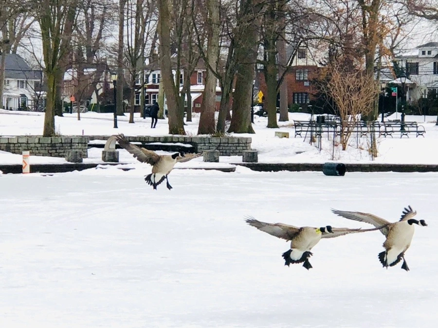 82MNb1lykN70JFPV0TsEqmxKCCg