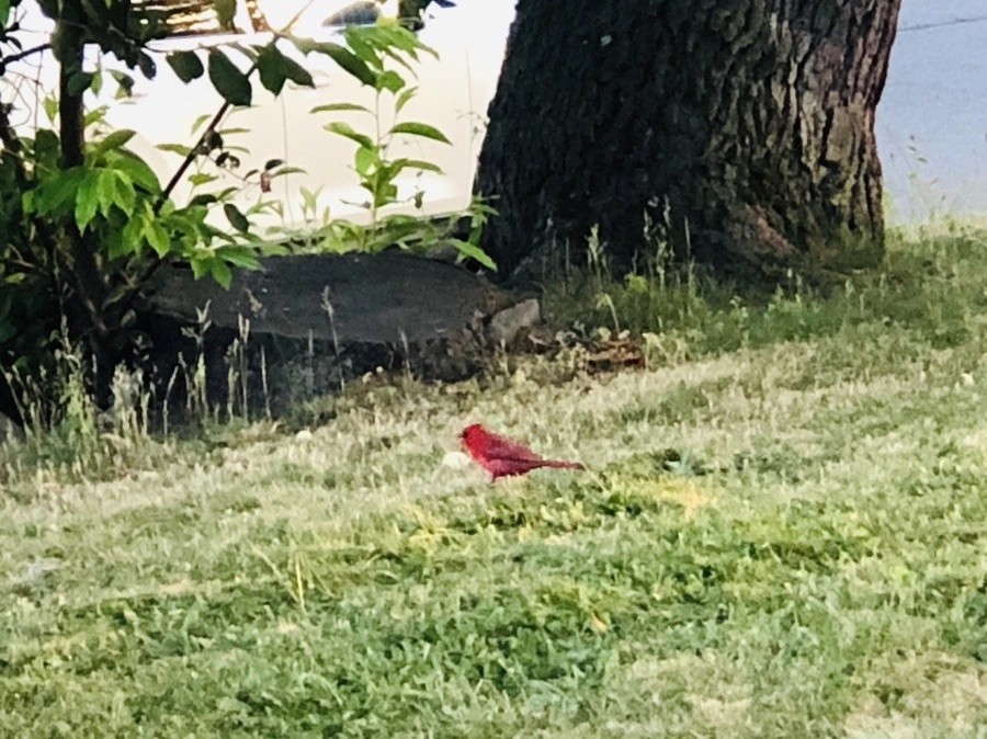 9TkaKba21zjkz4iEV-YaRV9V36o